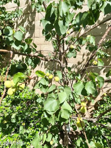 31 Tall Cedars, Irvine CA  92620-3669 exterior