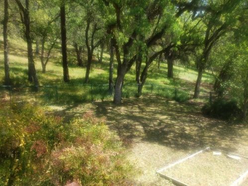 18670 Maple Leaf Ct, Middletown CA  95467-8528 exterior