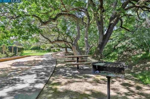 300 Suntree Ln, Concord CA  94523-5149 exterior