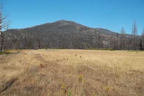 20825 Dry Creek Cut Off Rd, Middletown, CA 95461-9558