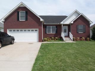 132 Fieldstone Ln, Springfield TN  37172-7344 exterior
