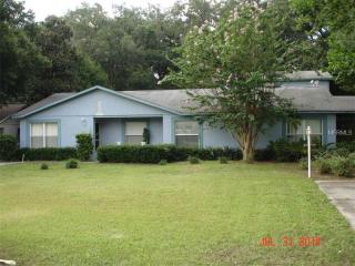 11506 Valencia Dr, Seffner, FL 33584-8395