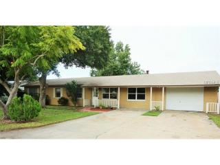 31238 Saunders Cir, Tavares, FL 32778-5051