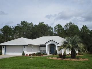 20 Daisy St, Homosassa, FL 34446-6001