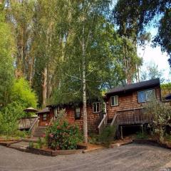 10360 Occidental Rd, Sebastopol, CA 95472-9674
