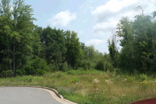 9405 Lexington Ct, Weston, WI