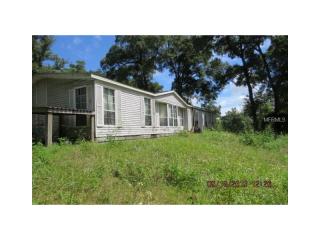 17625 283rd Ave, Umatilla, FL 32784-7613