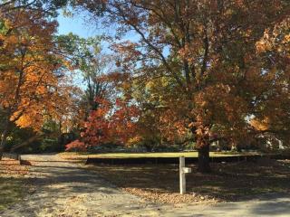 6405 Shadyglen Rd, Cincinnati, OH 45243-3237