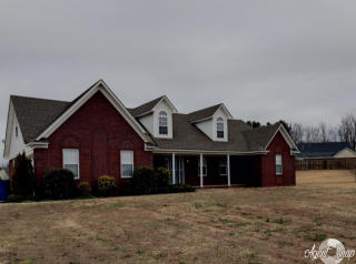 90 Webster Cv, Crosstown TN  38004-7622 exterior