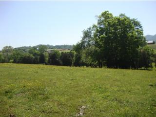 1303 Conklin Rd, Jonesborough, TN 37659-6727
