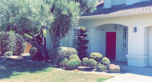 2512 Amber Elm Dr, Modesto CA  95355-8422 exterior