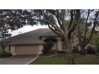 16143 Harbar Oaks Dr, Montverde, FL 34756-3007