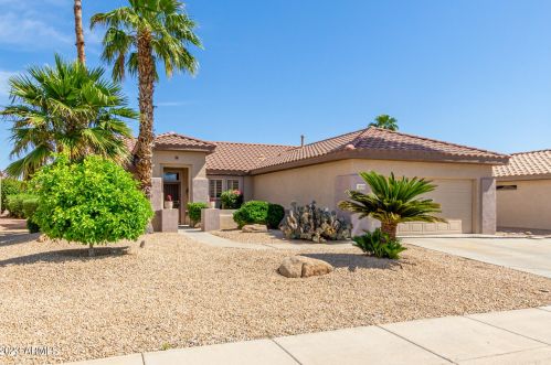 16306 Willow Creek Ln, Sun City, AZ 85374-6432