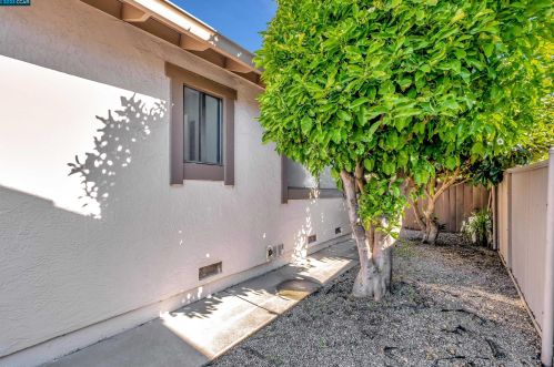 701 Begonia Dr, San Leandro CA  94578-3804 exterior