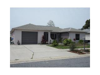 1129 Persimmon Dr, Tarpon Springs, FL 34691-6714
