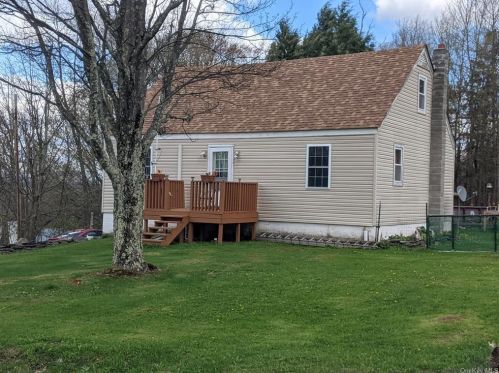 30 Albion St, Liberty, NY 12754-1902