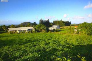2420 Nehe Pl, Haiku, HI 96708-5091