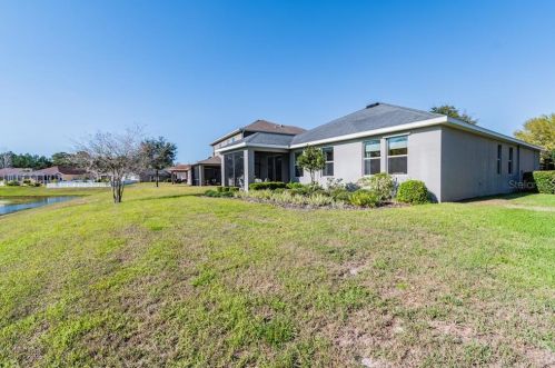 11156 Belle Hvn Dr, New Port Richey FL 34654-4491 exterior