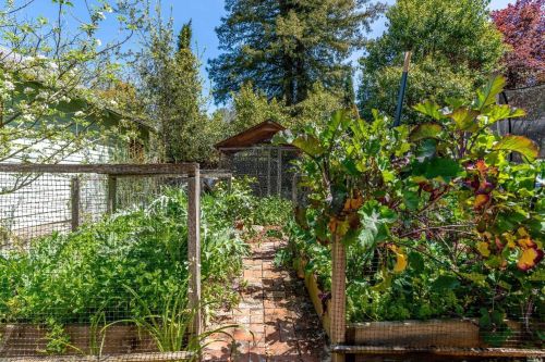 753 Oak St, Ukiah CA  95482-3901 exterior