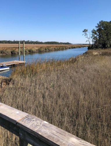 116 Slipper Shell Ct, Mount Pleasant SC  29464-6724 exterior