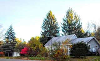 3048 Comfort Hill Rd, Wellsburg, NY 14894-9738