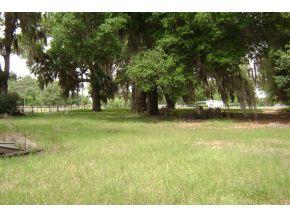 11701 Highway 464, Ocklawaha, FL 11751-4812