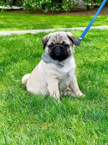 2 Soundview Ave, White Plains NY  10606-3326 exterior