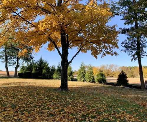 6125 Brown Rd, Miami OH  45056-9781 exterior