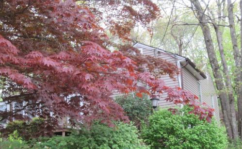 7 Carol Dr, Poughkeepsie NY  12603-2603 exterior