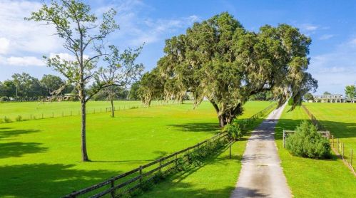 27355 Old Trilby Rd, Brooksville, FL 34602-7917