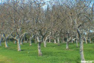 837 Claratina Ave, Modesto CA  95356-9610 exterior