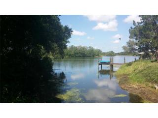 1524 Creekbend Dr, Brandon, FL 33510-2351