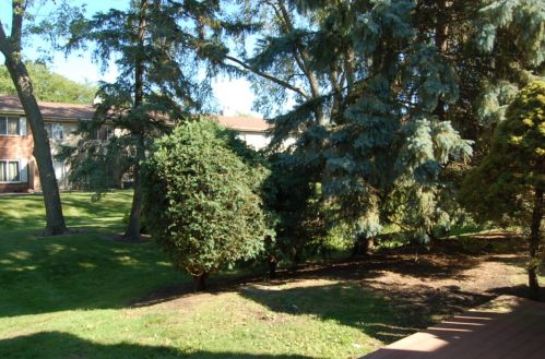 7833 60th St, Milwaukee WI 53223-4175 exterior