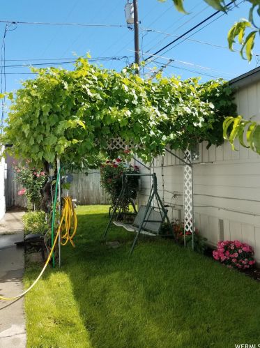 441 State St, Orem UT  84058-6388 exterior