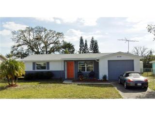 3114 Bright Dr, Tarpon Springs, FL 34691-4601