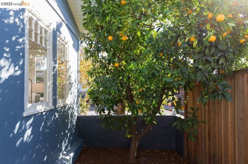 4215 Glen Ave, Oakland CA  94611-4349 exterior