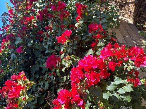 64 Sierra Madre Way, Rancho Mirage CA  92270-3933 exterior