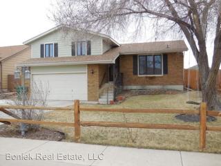 854 Daffodil St, Fountain CO  80817-4145 exterior