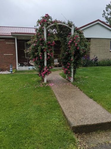 812 1st St, East Brady PA  16028-0015 exterior