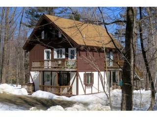 165 Okemo Acres, Grahamville, VT 05149-4418