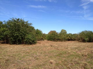 19361 Green Grove Ct, Town Of Loxahatchee Groves, FL 33470-2455