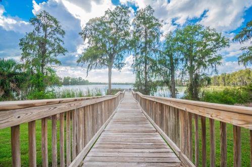 11156 Belle Hvn Dr, New Port Richey FL 34654-4491 exterior