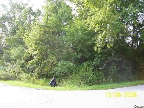 602 Deer Run Ave, Georgetown SC  29440-4842 exterior