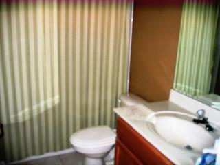350 Lake Amberleigh Dr, Winter Garden FL  34787-5252 exterior
