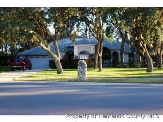 13802 Eagles Rock Ct, Port Richey, FL 34667-6483