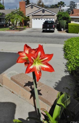 5551 Del Loma Ave, San Gabriel CA  91776-1649 exterior