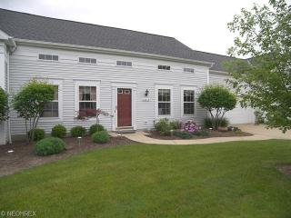 10215 Brighton Cir, Twinsburg, OH 44087-2693