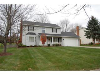 10319 Luman Ln, Twinsburg, OH 44087-1479
