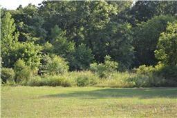 1681 Bridgecrest Dr, Antioch, TN 37013-1927