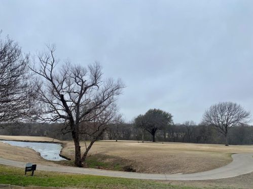 3107 Tam O Shanter Ln, Richardson TX  75080-1530 exterior